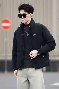 37868-M-3XL-P205标50绒社会小伙纯色百搭休闲立领鸭绒羽绒服男图片