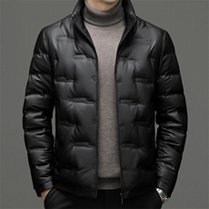 男装立领商务休闲羽绒服冬季新款男士御寒白鸭绒上衣中年保暖外套，男装羽绒服，电商B212（原钱塘6029）