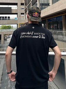 何以至此刺绣标语印花短袖男款夏季索罗娜凉感t恤小领口显壮半袖图片