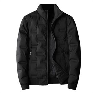  2021秋冬季新款立领羽绒服男  钱塘3029-888  真模图图片