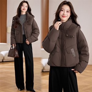 2025冬季新款简约时尚连帽羽绒服图片