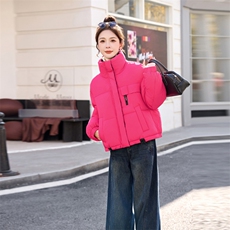 2025年冬季保暖棉衣休闲风立领短款，女装羽绒服，涵亦佰惠