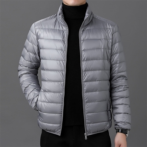 达标50绒轻薄羽绒服外套男立领冬季中青年男士休闲百搭YR911-P70图片