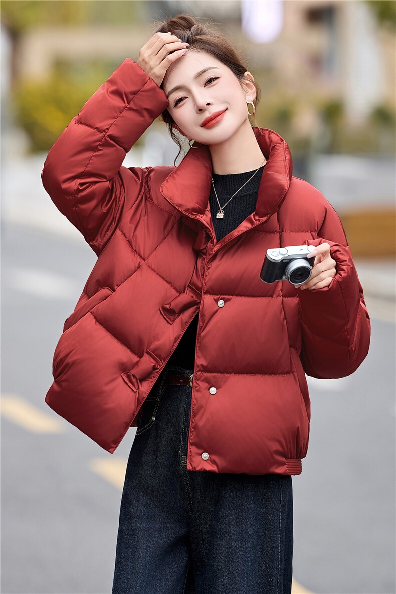 2025冬装新款简约时尚立领90白鸭绒羽绒服,女装羽绒服,沁沁公主