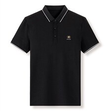 夏季新款男士翻领短袖t恤中年有领男装上衣服休闲POLO衫，男装T恤，电商B212（原钱塘6029）