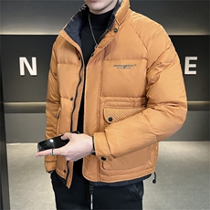 2022店主风新款保暖立领百搭工装休闲羽绒服短款外套8085-P185，男装羽绒服，电商A413