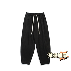 冬季新款加厚抗起球呢料哈伦裤宽松大码休闲萝卜裤小脚男872-P65，男装休闲裤，电商C305A