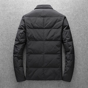 新款男士羽绒服西装羽绒时尚外套2216p270控价355图片
