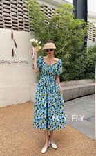 五色三码，其它，魅影菲怡