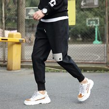 20秋装新款日系大码潮流休闲工装宽松束脚裤哈伦九分裤，男装休闲裤，电商A009A（原A058A）