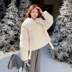 2c278A-8960-P285-K418羽绒服女图片
