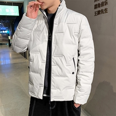 羽绒服男士冬季新款中青年白鸭绒加厚保暖外套男装潮流休闲上衣，男装羽绒服，电商B212（原钱塘6029）