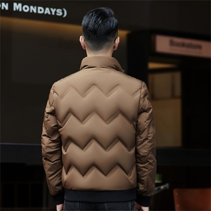 ZMS-M8839新款冬季男士白鸭绒羽绒服立领保暖外套修身大衣图片