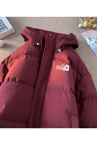 棉衣男冬新款港风连帽宽松面包服羽绒棉学生棉服MF300-P69(现货图片