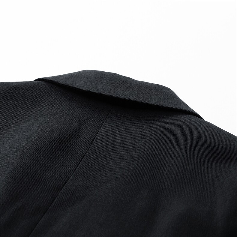 秋季新品西服韩风精致两粒扣休闲外套通勤装GS6997,男装西服,星座1206（原A206）