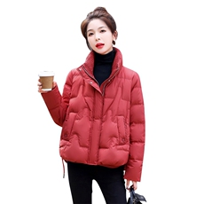 时尚潮流羽绒服女2022年冬季新款短款立领外套90白鸭绒，女装羽绒服，润尚靓点