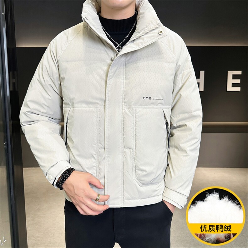 2025冬季DS-A225标新款男士立领白鸭绒羽绒服夹克885506-P150,男装夹克,电商A225