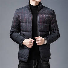 21新款时尚男士鸭绒羽绒服立领冬季休闲保暖外套KCN88606-35-P275，男装羽绒服，电商B212（原钱塘6029）