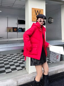 90白鸭绒，三色四码图片