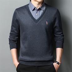 2023年秋冬季新款休闲简约保暖长袖套头假两件POLO衫GKS5503-P68，男装T恤，钱塘6003（原4033）