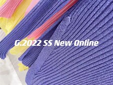 新款垫肩针织上衣均码现货，其它，G