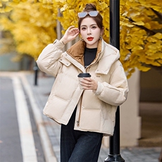 2024冬季新款时尚气质百搭立领保暖舒适拼色连帽短款羽绒服，女装羽绒服，火爆靓佳人