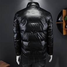 冬季新款亮面立领羽绒服男潮流休闲外套钱塘2027-2301-特P180，男装羽绒服，钱塘6025