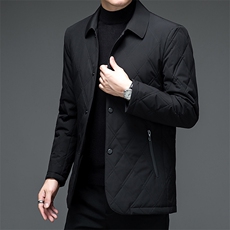 冬季翻领商务休闲棉衣中年男士加厚保暖棉服爸爸装2023新款外套，男装棉衣，电商B212（原钱塘6029）