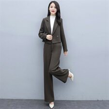 2020冬季时尚百搭复古两件套通勤气质翻领女，女装套装/套裙，贵人树
