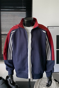 重磅boxy短款全棉450克拉链连帽卫衣套头外套男  RH5362-P55图片