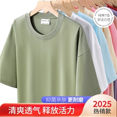280克双纱抖音得物一件量大可谈，男装T恤，电商A109