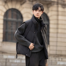 立领休闲男士羽绒服马甲加厚冬男装外套潮面包服88069-P195控349，男装羽绒服，电商A355（原A415）