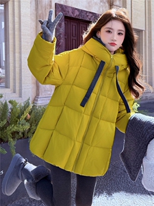 现货新款2167-P385-K569新G标90绒中长款羽绒服图片