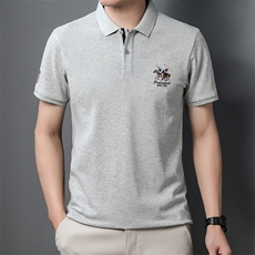 新款男士透气短袖T恤翻领舒适上衣服休闲半袖体恤polo打底衫P55，男装T恤，钱塘6003A(原)4033A