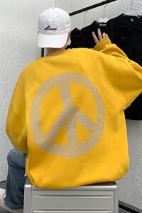 套头卫衣男秋季韩版潮流ins宽松大码胖子薄款外套 WY601P43控58图片