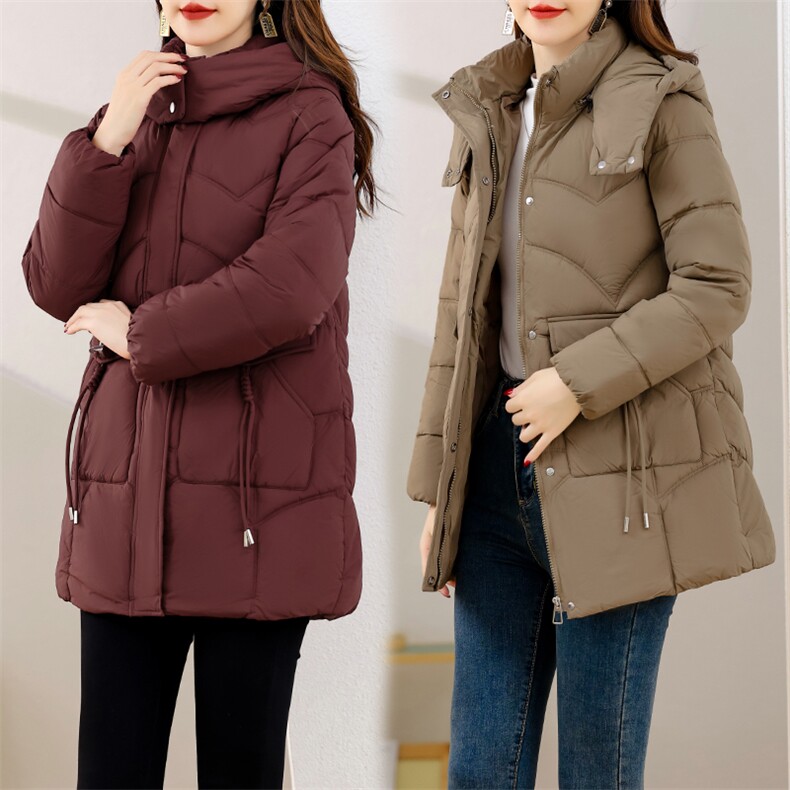 2024年冬季通勤舒适简约大方连帽羽绒棉服,女装棉衣/棉服,多彩