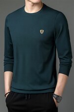 秋季男装圆领印花卫衣春秋2023新款中年商务休闲男士长袖上衣，男装卫衣，电商B212（原钱塘6029）