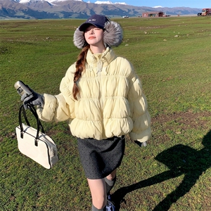 双色已出2025年冬季新款女装女士精品羽绒服90绒短款clea图片