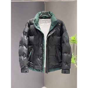 6651 P185冬季新款男士立领标羽绒服图片