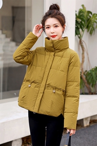 2022年冬季新款立领棉衣棉服女宽松显瘦韩版时尚百搭棉袄短外套女图片