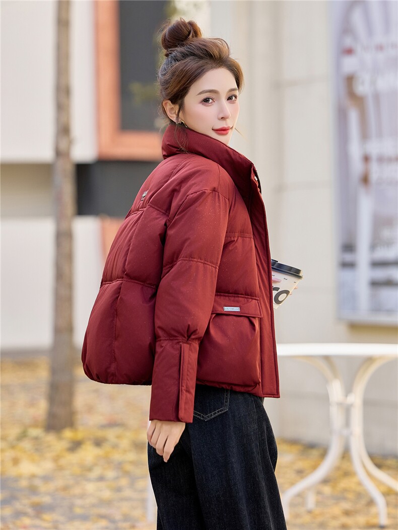 2025冬装新款时尚立领羽绒服,女装羽绒服,鑫鑫格