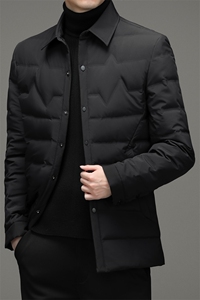 BZS8011钱塘2020-3冬季羽绒服白鸭绒防寒保暖外套加厚P180图片
