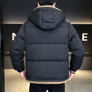 标90白鸭绒男装羽绒服连帽款外套C317-Y865-P255图片