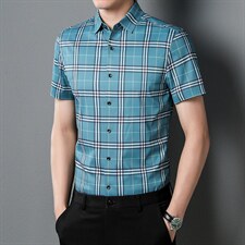 C8931夏季男士短袖衬衫青年休闲绅士修身衬衣免烫商务P66，男装衬衫，电商B360