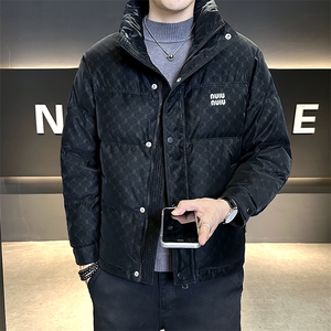 大货标50白鸭绒冬季男装羽绒服B317-Y520-P215288图片