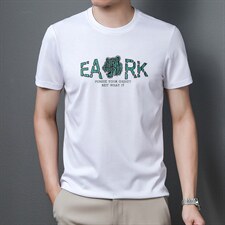 2024年夏季新款短袖t恤男士圆领宽松字母青年透气半袖潮流体恤P65，男装T恤，钱塘6003A(原)4033A