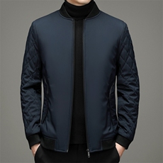立领纯色棉衣男2023冬季中年男休闲棉服爸爸冬装外套YYM8615-P205，男装棉衣，电商B212（原钱塘6029）