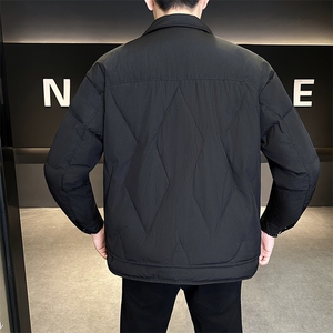 新款男士小翻领羽绒服夹克加厚防寒309B-3-81062-P185图片