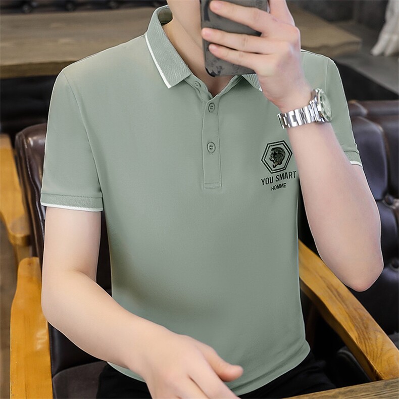 polo衫青年商务休闲男装夏季新款男士短袖T恤半袖翻领宽松上衣服,男装T恤,电商B212（原钱塘6029）
