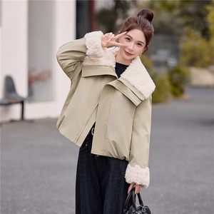现货白鸭绒2025年冬季短款翻领羽绒服图片